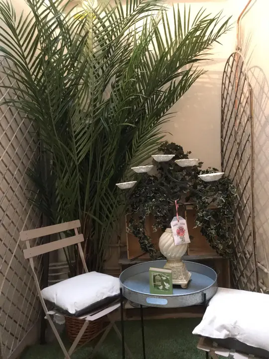 Petit jardin d’hiver — La Lavandière, hébergement Bed in Shop à Romans-sur-Isère
